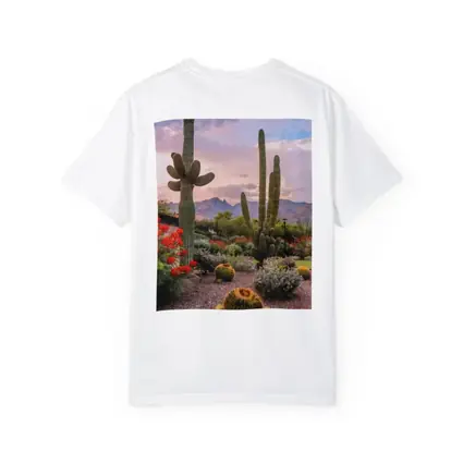 Saguaro Cactus Garden Sunset Mountain Desert