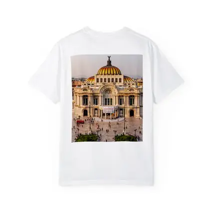 Palacio de Bellas Artes Mexico City Skyline