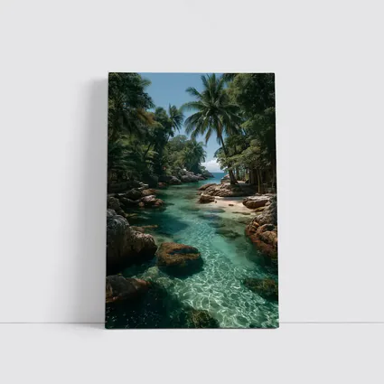Tropical Clear River Rocky Palm Forest