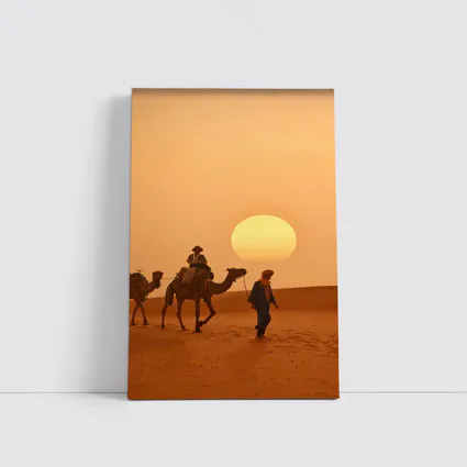 Camel Caravan Walking Desert Golden Sunset