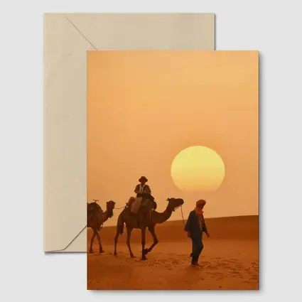 Camel Caravan Walking Desert Golden Sunset