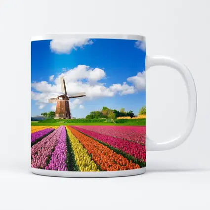 Dutch Tulip Field Windmill Blue Sky