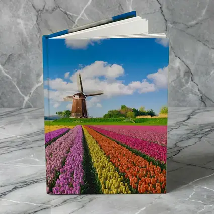 Dutch Tulip Field Windmill Blue Sky
