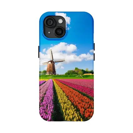 Dutch Tulip Field Windmill Blue Sky