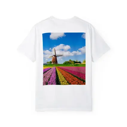 Dutch Tulip Field Windmill Blue Sky