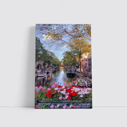 Amsterdam Canal Flowers Trees Sunset View