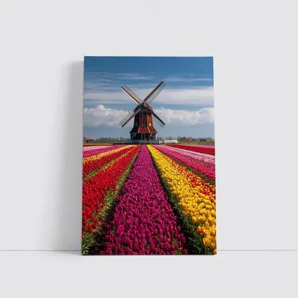Dutch Windmill Tulip Fields Netherlands Landscape