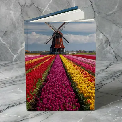 Dutch Windmill Tulip Fields Netherlands Landscape