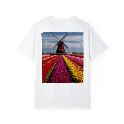 Dutch Windmill Tulip Fields Netherlands Landscape