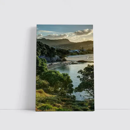 New Zealand Coastal Bay Forest Landscape