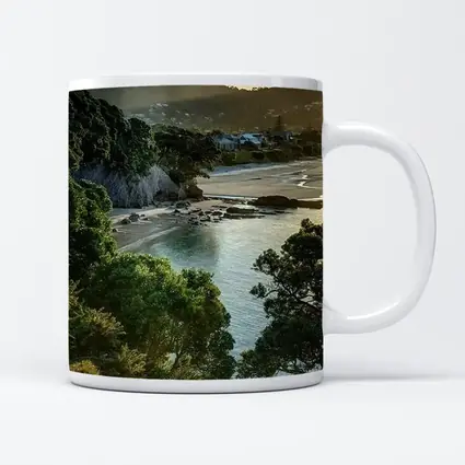 New Zealand Coastal Bay Forest Landscape