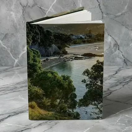 New Zealand Coastal Bay Forest Landscape