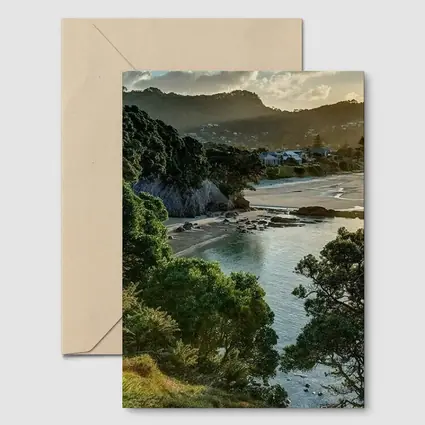 New Zealand Coastal Bay Forest Landscape