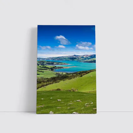 New Zealand Green Hills Turquoise Bay Landscape