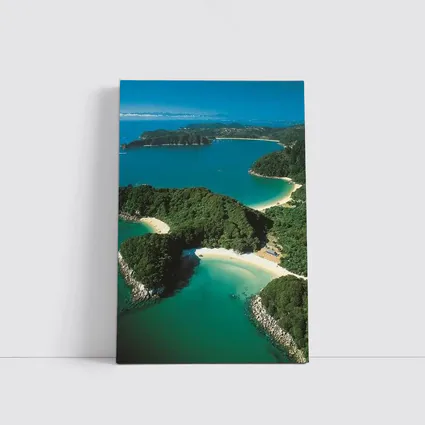 Aerial View New Zealand Coastal Bays Forest
