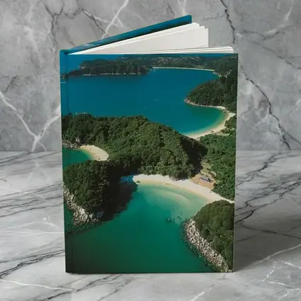 Aerial View New Zealand Coastal Bays Forest