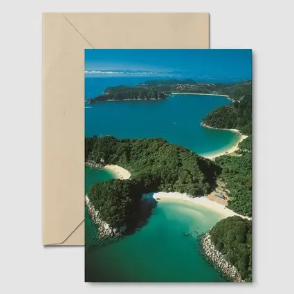 Aerial View New Zealand Coastal Bays Forest