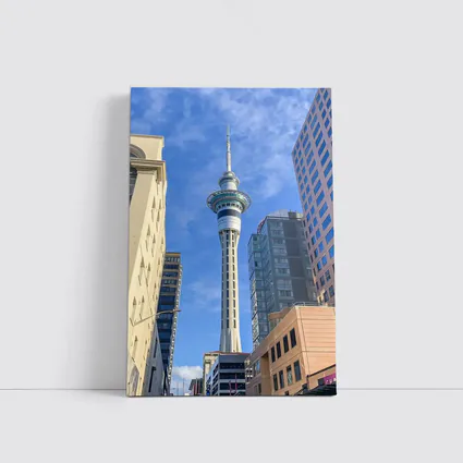 Auckland Sky Tower City Street View