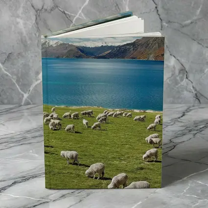 Sheep Grazing Green Meadow Mountain Lake