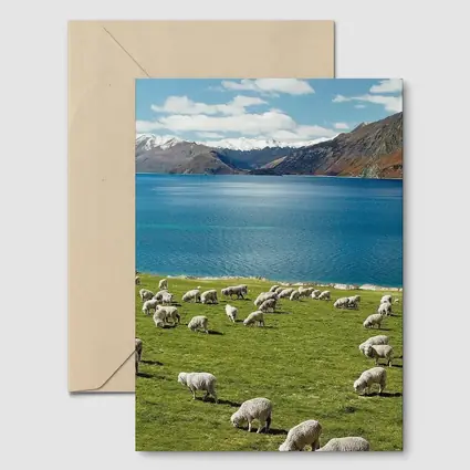 Sheep Grazing Green Meadow Mountain Lake
