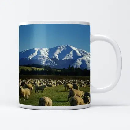 Sheep Flock Grazing Snow Capped Mountain