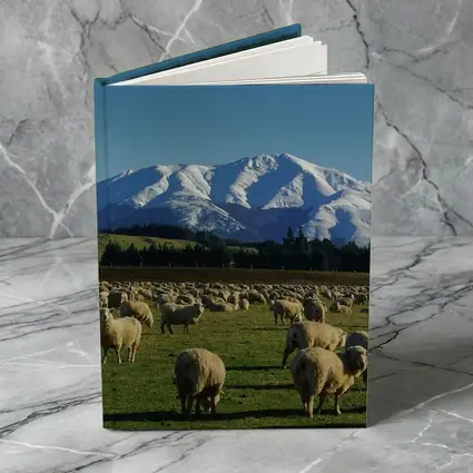 Sheep Flock Grazing Snow Capped Mountain