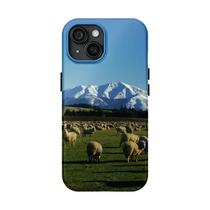 Sheep Flock Grazing Snow Capped Mountain