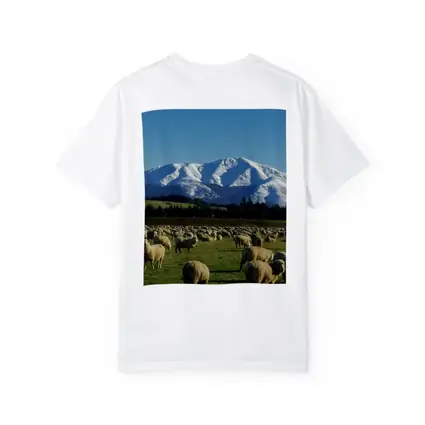Sheep Flock Grazing Snow Capped Mountain
