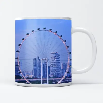 Singapore Flyer Ferris Wheel City Skyline