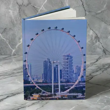 Singapore Flyer Ferris Wheel City Skyline
