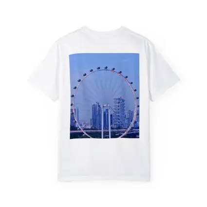 Singapore Flyer Ferris Wheel City Skyline