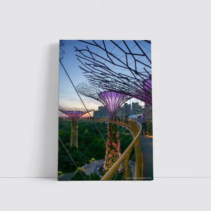 Singapore Gardens by the Bay Supertrees Skyline