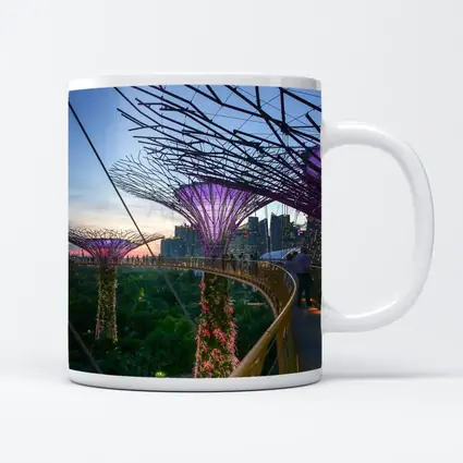 Singapore Gardens by the Bay Supertrees Skyline