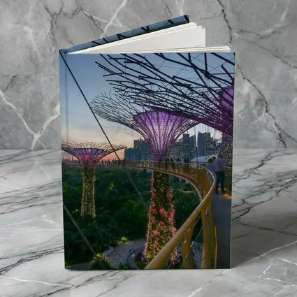 Singapore Gardens by the Bay Supertrees Skyline