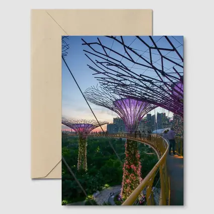 Singapore Gardens by the Bay Supertrees Skyline
