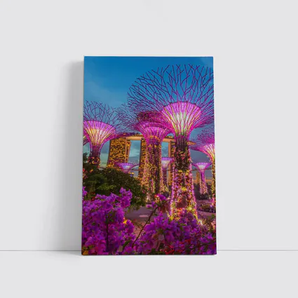 Gardens by the Bay Singapore Night Lights