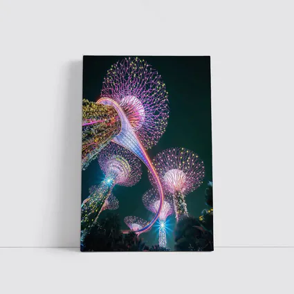 Gardens by the Bay Singapore Night Lights