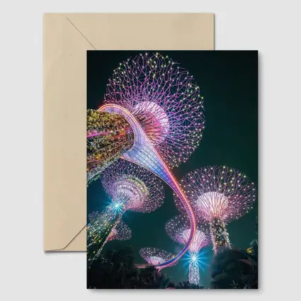 Gardens by the Bay Singapore Night Lights
