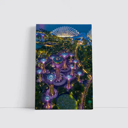 Gardens By The Bay Singapore Night Aerial