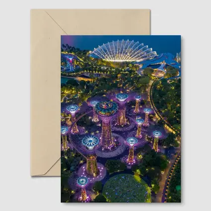 Gardens By The Bay Singapore Night Aerial