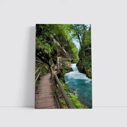 Wooden Boardwalk Canyon River Forest Path