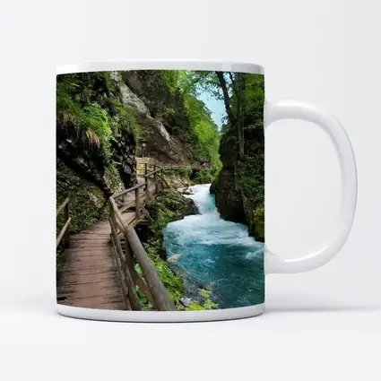 Wooden Boardwalk Canyon River Forest Path