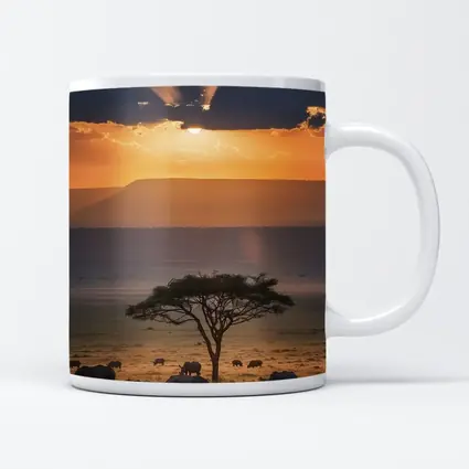 Rhinos Grazing African Savanna Sunset Acacia