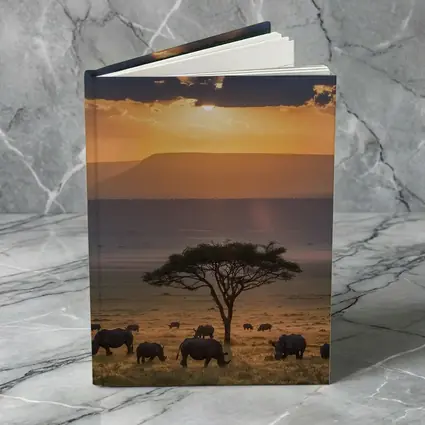 Rhinos Grazing African Savanna Sunset Acacia