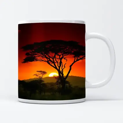 African Savanna Sunset Acacia Tree Silhouette