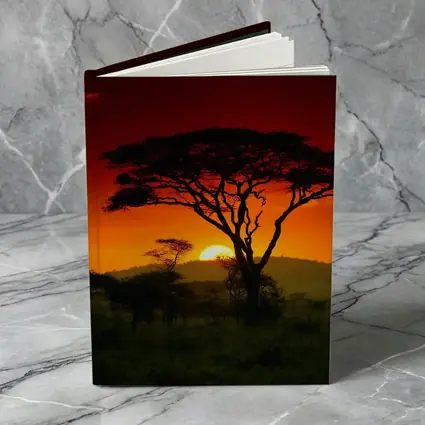 African Savanna Sunset Acacia Tree Silhouette