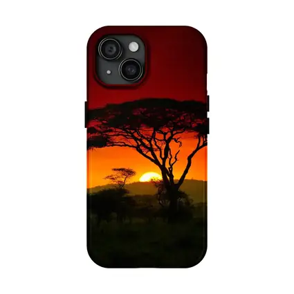African Savanna Sunset Acacia Tree Silhouette