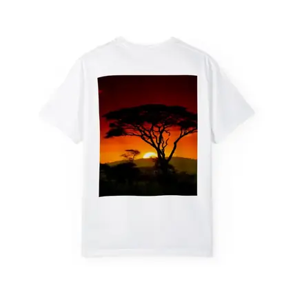 African Savanna Sunset Acacia Tree Silhouette