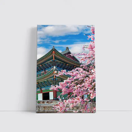 Korean Palace Cherry Blossoms Blue Sky