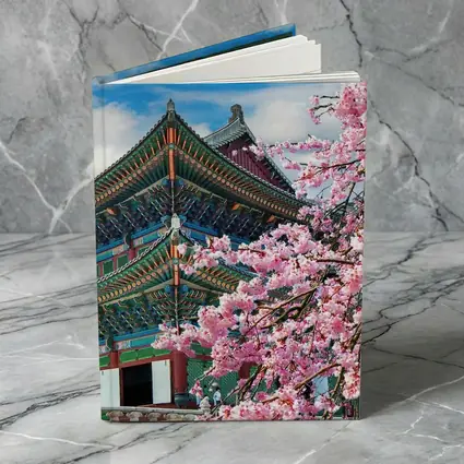 Korean Palace Cherry Blossoms Blue Sky